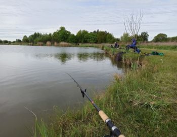 Gruntowe Mistrzostwa Koła